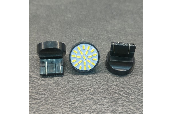 T20 7443 18smd 3014 LED Білий